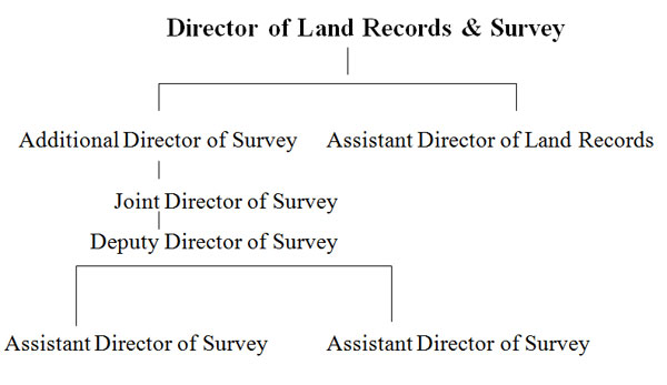 Organisational Chart of Directorate of Land Records and Surveys 